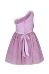 Vestito in tulle con piume