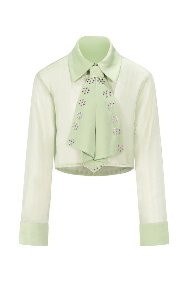 Camicia Cropped Trasparente con Cravatta Gioiello