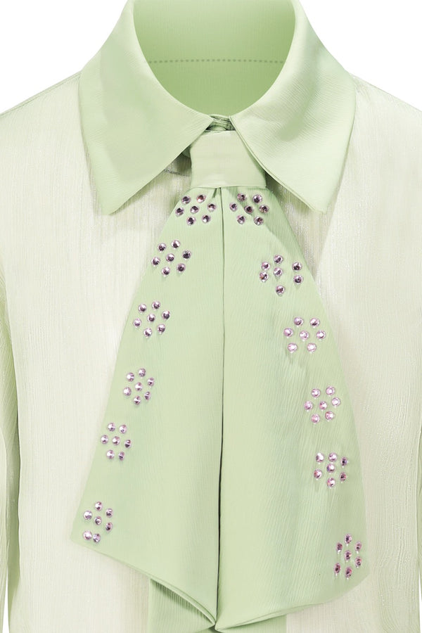 Camicia Cropped Trasparente con Cravatta Gioiello