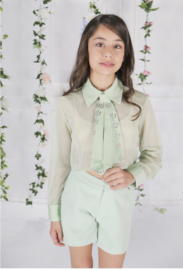 Camicia Cropped Trasparente con Cravatta Gioiello